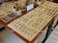 店内环境-肆兮眼镜·蔡司·徕卡战略合作店(大坪店)