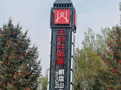 -王府井奥莱棋盘山小镇