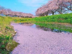 -后海村