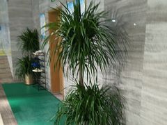 -小蓝鲸游泳培训基地(石景山店)
