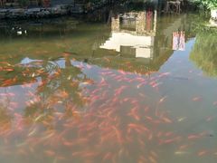 -竹泉村旅游度假区