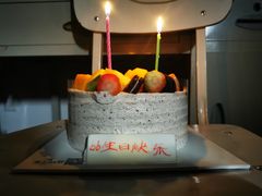 -维尔纳斯·生日蛋糕动物奶油冰淇淋蛋糕(人大店)