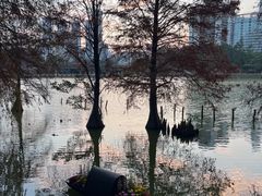 -国龙大酒店-中餐厅