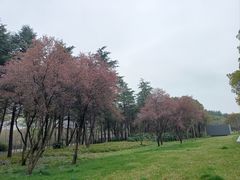 -渤公岛生态公园