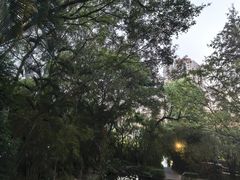 -燕晗山郊野公园