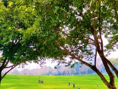 -重庆中央公园(渝北区)