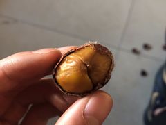 -小宝栗子(嘉华国际商业中心店)
