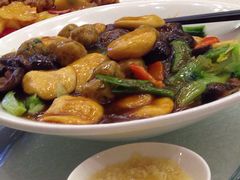 冬菇鱼丸鱼腐扒生菜胆-太子园林酒家