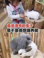 -七巧国萌宠乐园(龙湖天街店)