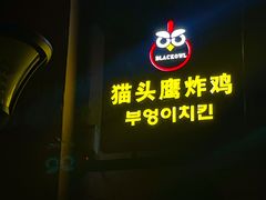 门面-猫头鹰炸鸡