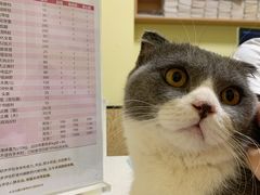 -派联宠物医院·24h·CT·异宠