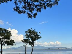 -深圳湾公园(南山区)