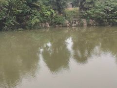 -雅和生态渔庄·宜城锅巴饭(龙灵山公园店)
