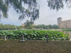 -哈尔滨师范大学(松北校区)