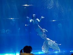 -华夏文旅海洋公园