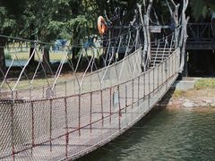 -上海辰山植物园