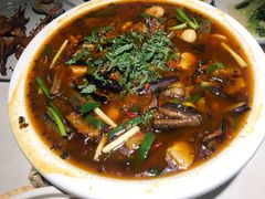 -院8里·小聚园老川菜(九眼桥店)