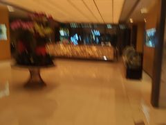 -广州奥园喜来登酒店