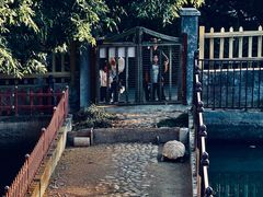 -广东惠东海龟国家级自然保护区