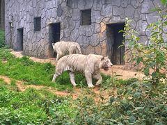 -云南野生动物园