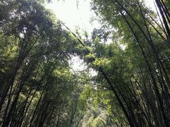 -会稽山峡洞漂流-上青古道