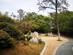 -菊花台公园