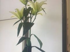 -卡罗酒店(东门晒布地铁站店)