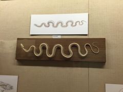 -广东省博物馆