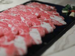 -汤城·料青山