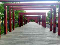 -春花秋色城市公园