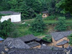 -杨家堂村