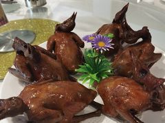 红烧乳鸽-光明招待所(邦凯科技园店)