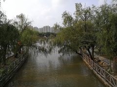 -南汇桃花村