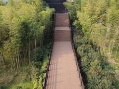 -大唐贡茶院