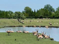 -溱湖国家湿地公园