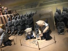 -成都泰迪熊博物馆