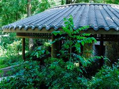 -成都市活水公园