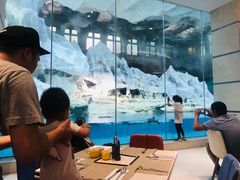-帝企鹅自助餐厅•儿童岛•真企鹅(长隆企鹅酒店)