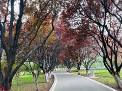 -石家庄市植物园