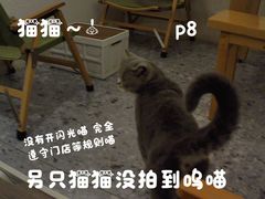 -士多咖啡·Stop Coffee