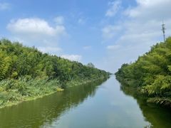 -黄海国家森林公园