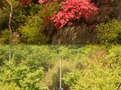 -西泰山风景区