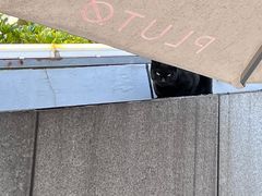 -UNI UNI(环亚凯瑟琳店)