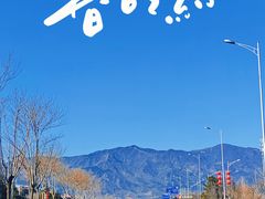 -阳台山自然风景区