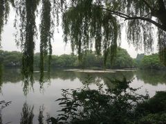 -西湖游船