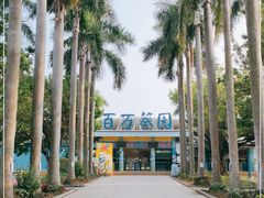 -百万葵园