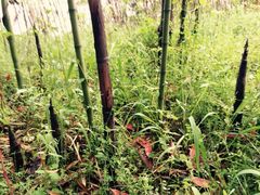 iphone_upload_pic-天目湖涵田度假村