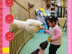 -藦茜花园宠物主题亲子互动体验馆(国顺东路店)