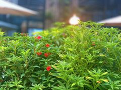 -瓦库茶馆17号(海汇港店)