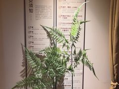 -沐善人家中医·推拿·理疗·三伏灸(新洲店)